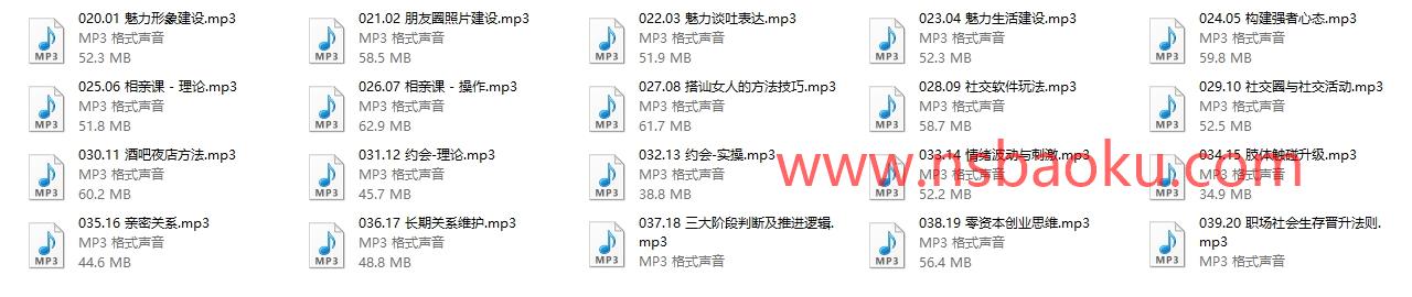 图片[2]-丹青门徒课-魅力工程【新】20节音频-男士宝库