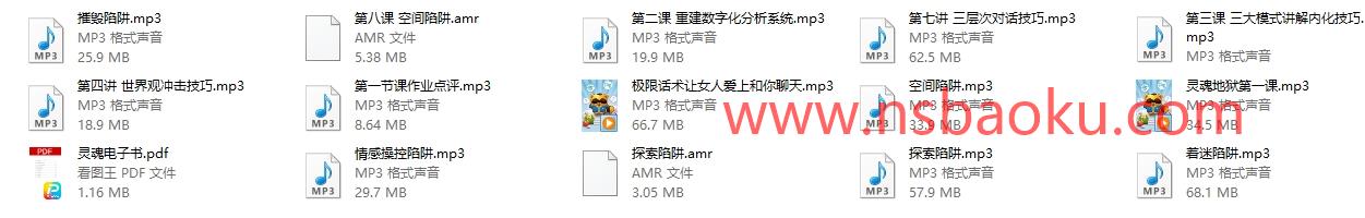 灵魂创造者《五步陷阱》音频加电子书-男士宝库