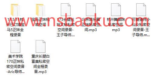 Aric3.0私密空间操作录音-男士宝库
