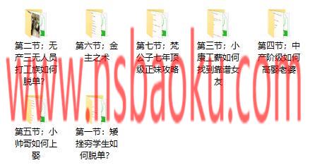 图片[2]-[19.9GB]2023梵公子《中国各阶层脱单指南》-男士宝库