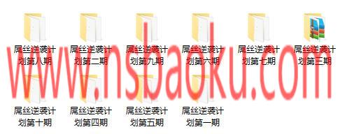 痴情叔《屌丝逆袭计划1-10期（入门课程）》-男士宝库
