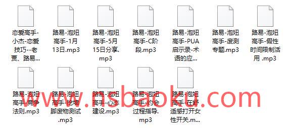 路易泡妞高手内部yy-男士宝库