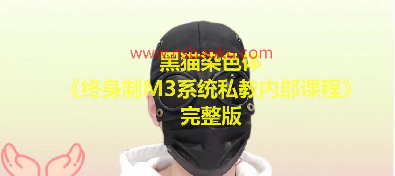 [6.7GB]黑猫染色体《终身制M3系统私教内部课程》-男士宝库