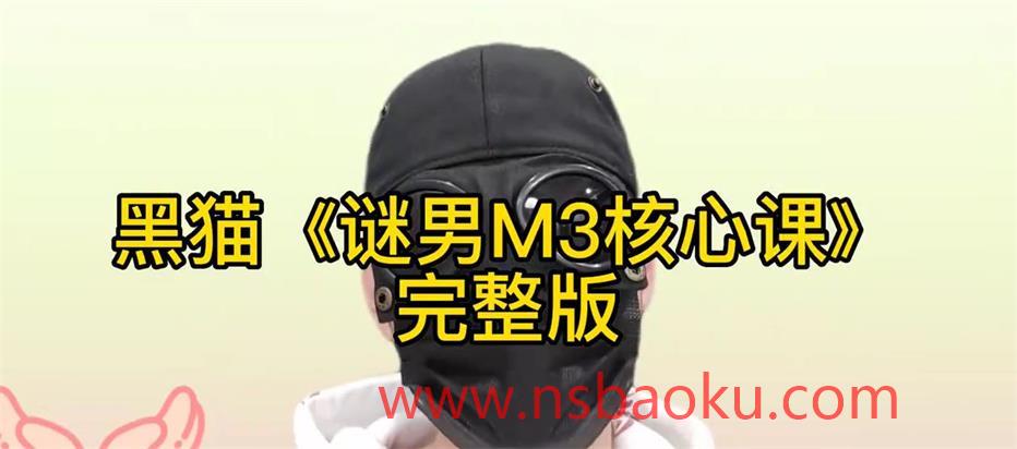 [6.58GB]黑猫《谜男M3核心课程》附案例-男士宝库