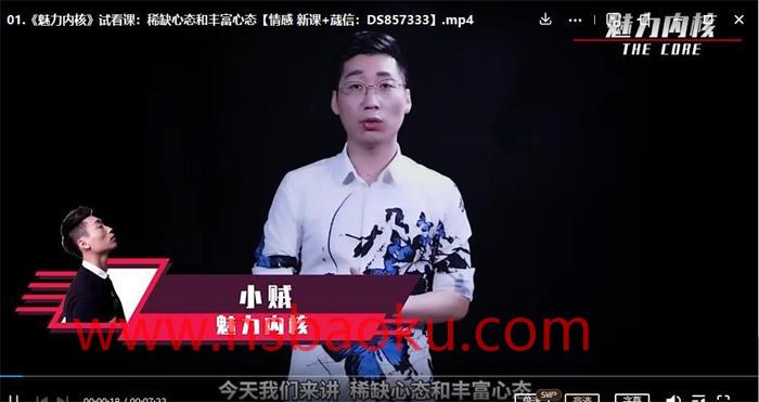 [18.5GB]爱上情感《魅力内核：你的强大状态引擎》-男士宝库