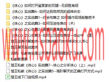 图片[3]-[6.3GB]楚王情感-楚王私教课《诛心》价值3980-男士宝库