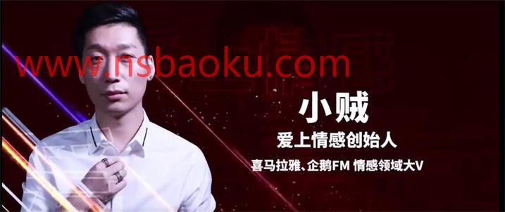 [6.6GB]爱上情感小贼老师《高阶聊天思维》-男士宝库
