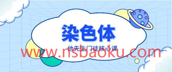 染色体《他先生门徒核心课》-男士宝库