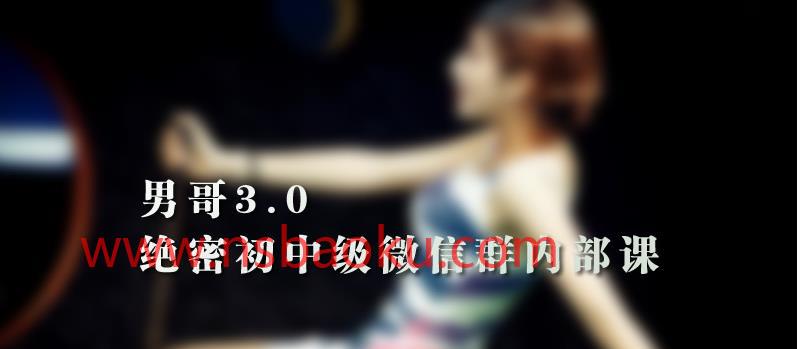 （3.9GB）《男哥3.0初中级班微信群内部课》完整版下载【092704】-男士宝库