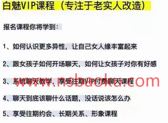 【价值698元】白魅VIP课程（专注老实人改造）百度网盘下载【083103】-男士宝库