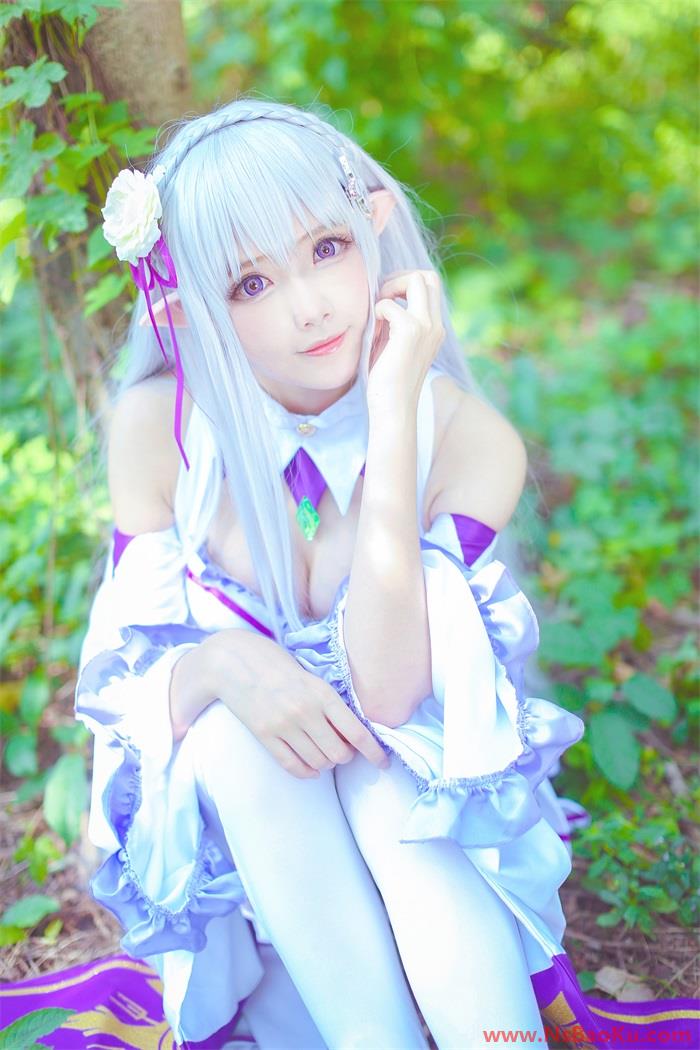 [Cosplay]从零开始的异世界生活 艾米莉娅 精美Cos [18P/120MB]-男士宝库